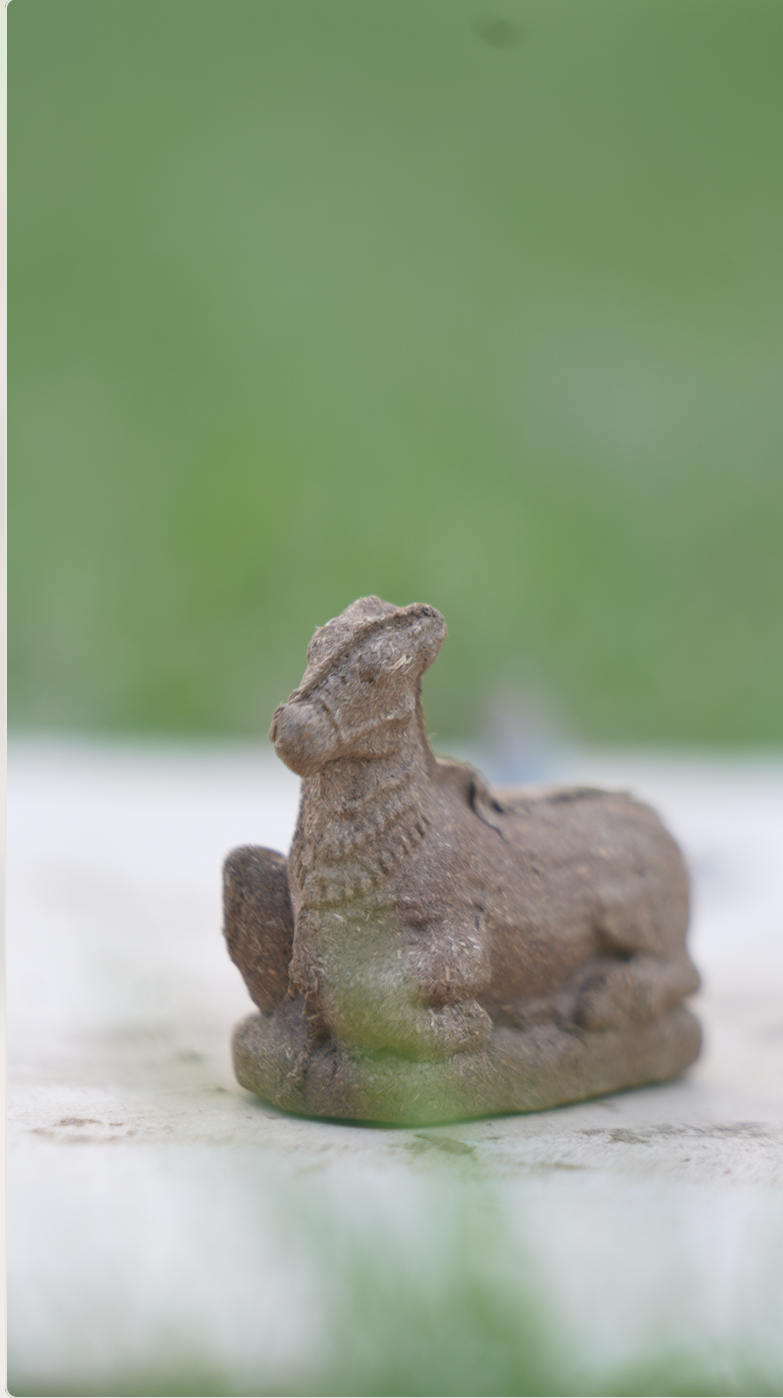 2" Nandi Maharaj - Plain