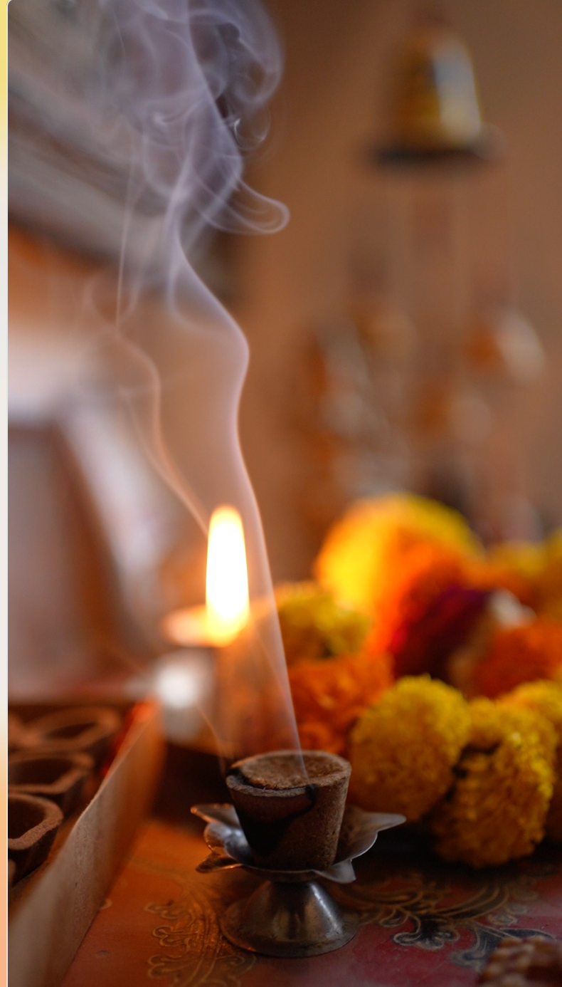 Rose Sambrani Cups (Pack of 12)